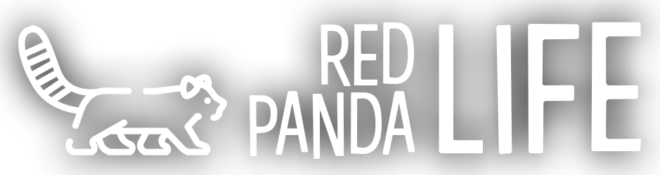 Red Panda Life